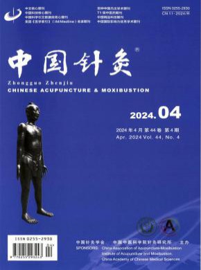中国针灸期刊